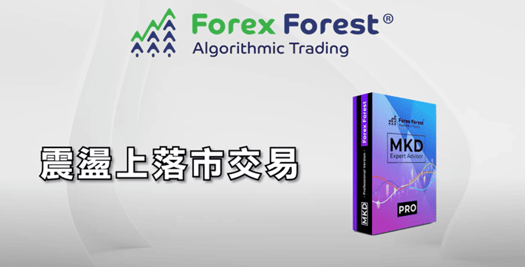 程式交易策略-震盪上落市交易