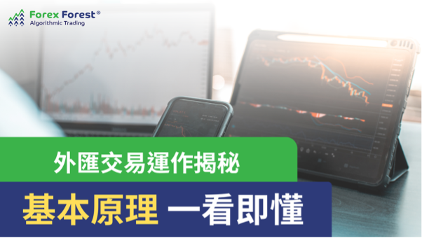 外匯市場如何運作？了解外匯交易裏的基本原理 - Forex Forest